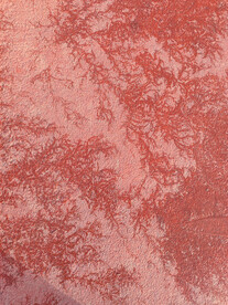 早春跑道上的冰花