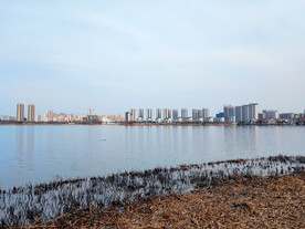 湖边建筑