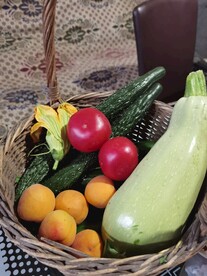 蔬菜