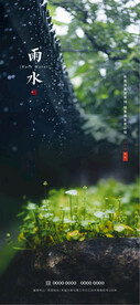 雨水节气海报