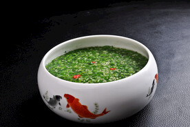 小米青菜钵