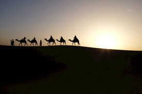 夕阳下沙漠中行走的驼队