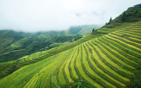 大山坡上的美丽梯田