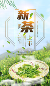 新茶上市