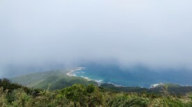 鳄鱼嘴