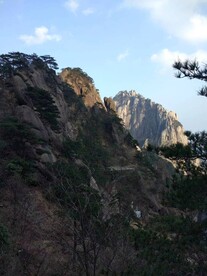 山