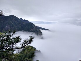 山顶云海