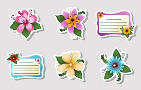 美丽花纹多彩绚丽蝴蝶花贴纸便签