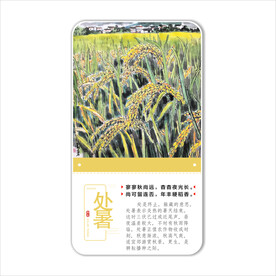 二十四节气之处暑