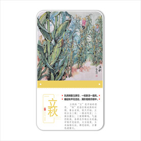 二十四节气之立秋