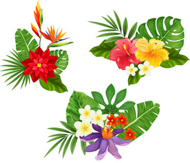 手绘花卉