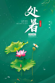 处暑荷花