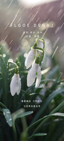 雨水谷雨