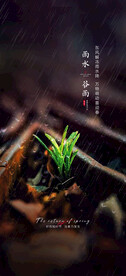 雨水谷雨