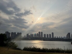 阳光美景