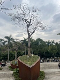 公园美景