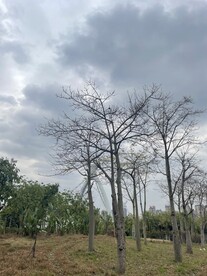 天空风景