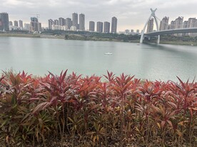 江边风景