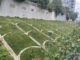绿化风景