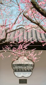中国庭院摄影