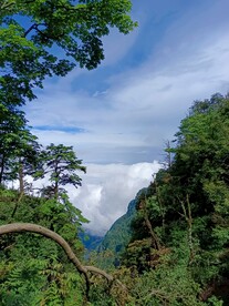 峨眉山云海