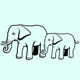 动物  