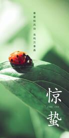 惊蛰