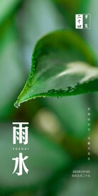 雨水