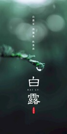 白露
