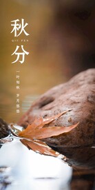 秋分