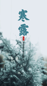 寒露