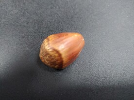 一粒榛子