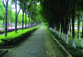 路  