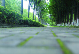 路  