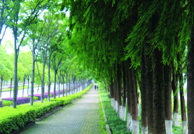 路