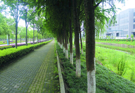 路