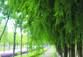 路 