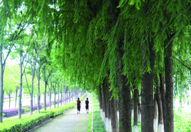 路  