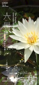 二十四节气之大暑