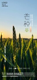 二十四节气之芒种