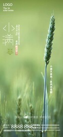 二十四节气之小满