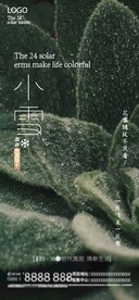 二十四节气之小雪设计版面参考