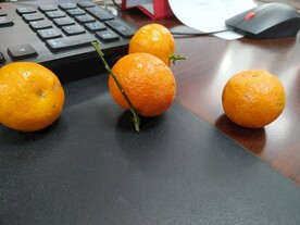 小橘子