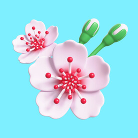 樱花