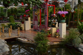 温室花草风景