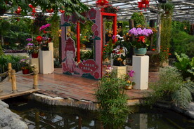 温室花草风景 