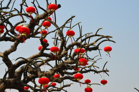 小红灯笼 