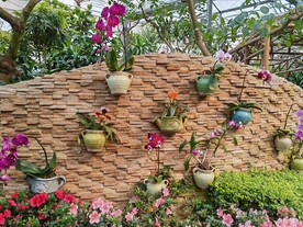 温室花草风景 