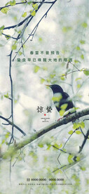 惊蛰