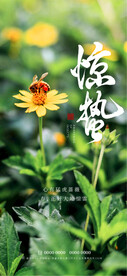 惊蛰